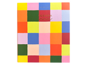 Rainbow Check Perpetual Planner