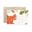 Squirrel Mini Boxed
