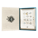 Birds Stationery Set