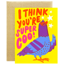 Super Coo Pigeon