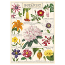 The Botanist