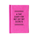 Tiny Diary for Not-So-Tiny Secrets