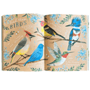 The Wildflower Workbook