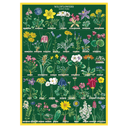 Wildflowers 2