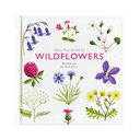 Little Guide to Wildflowers