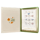 Wildflowers Stationery Set